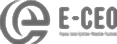 E-CEO