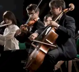 Şirket Orkestrası