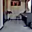 Görsel 3