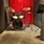 Görsel 1