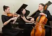 Görsel 3