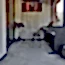 Görsel 6